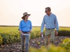 巴斯夫计划将农业解决方案业务在法兰克福证券交易所上市，并公布该部门全新管理董事会